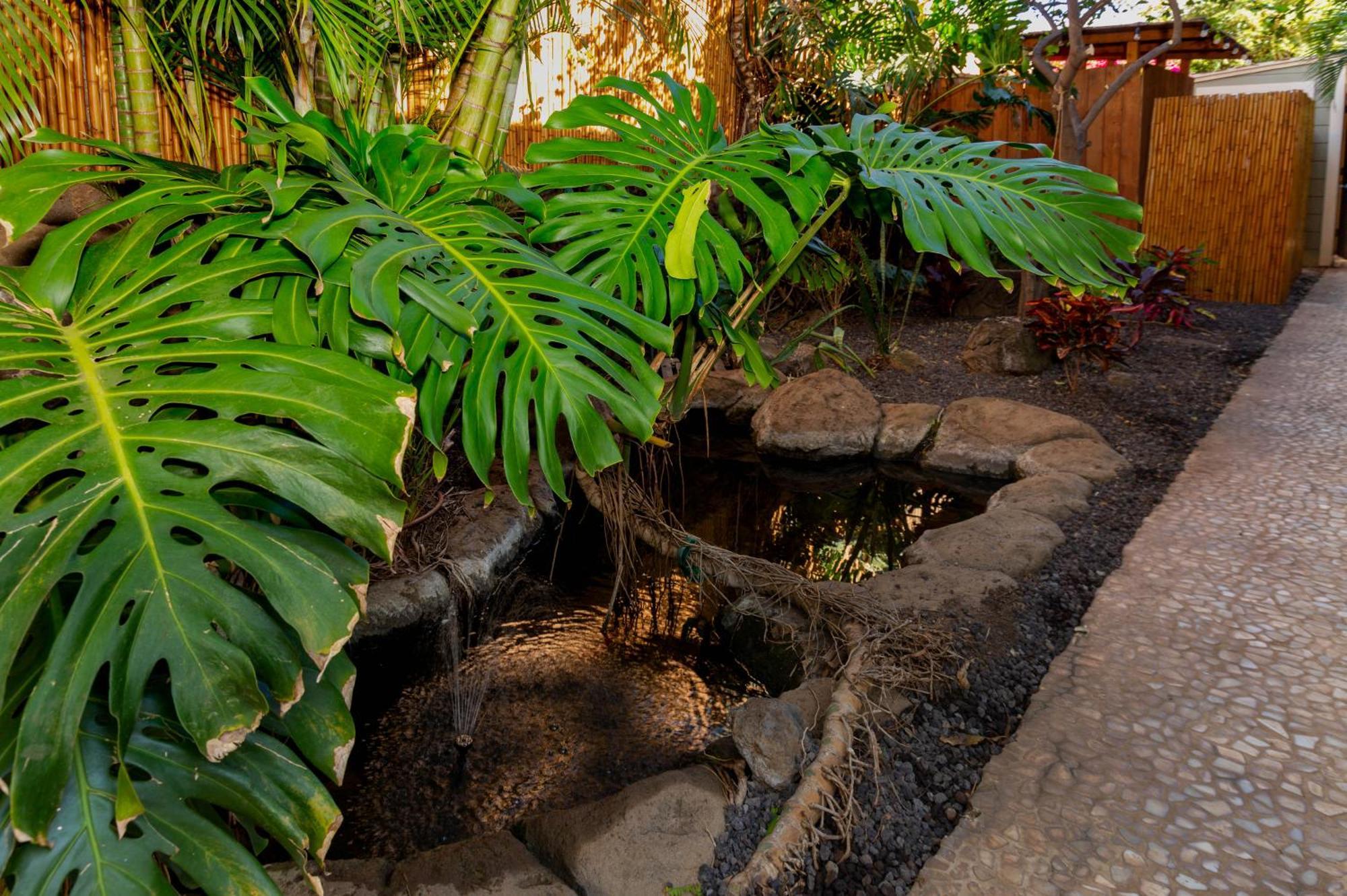 Orchid Suite In South Maui, Across From The Beach, 1 Bedroom Sleeps 4 キヘイ エクステリア 写真