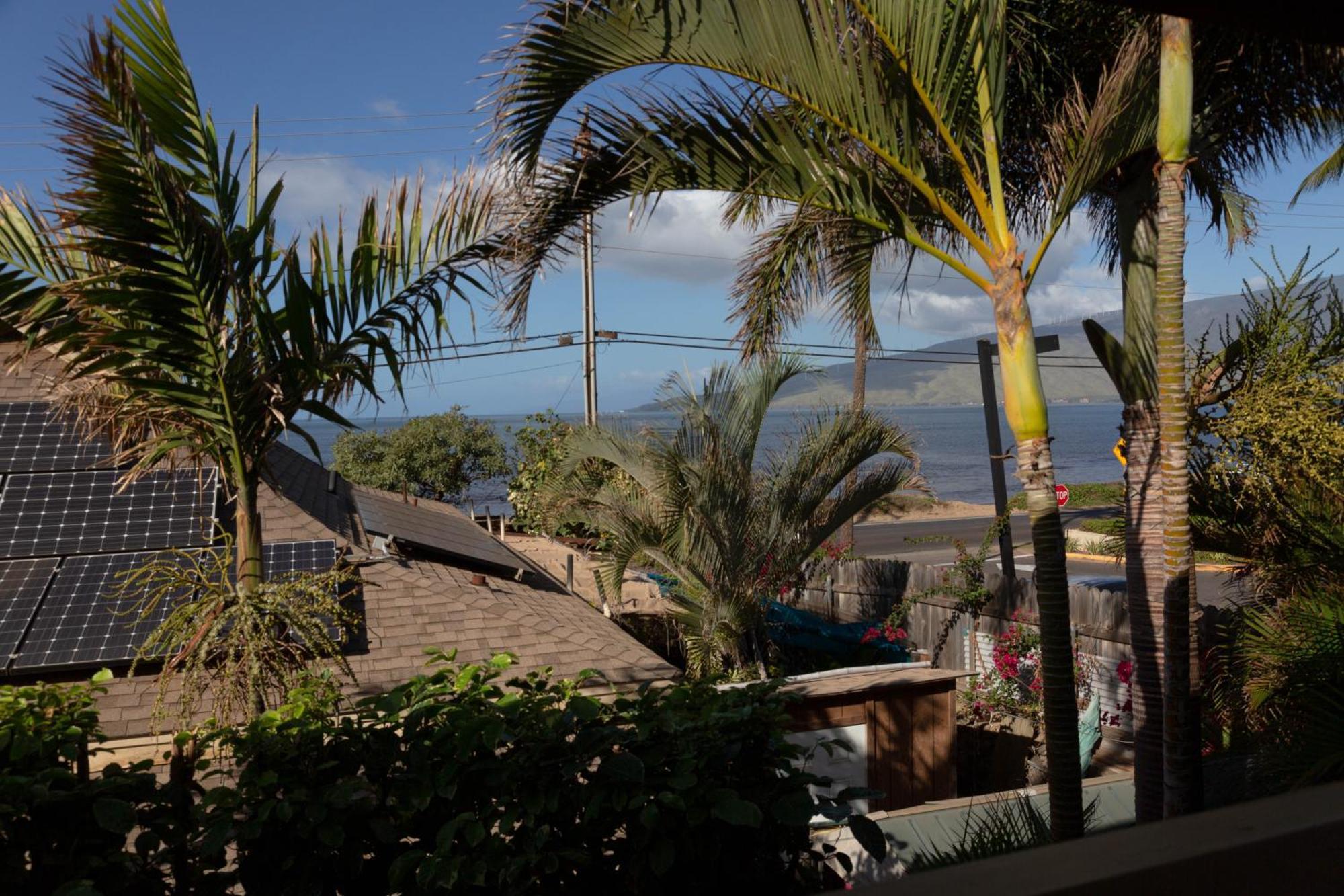 Orchid Suite In South Maui, Across From The Beach, 1 Bedroom Sleeps 4 キヘイ エクステリア 写真